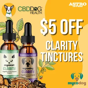 CBD Dog Health | $5…