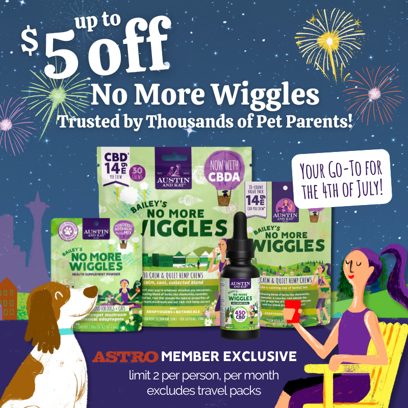 Promotion Image
