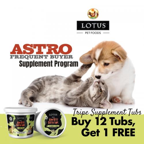 Promotion Image