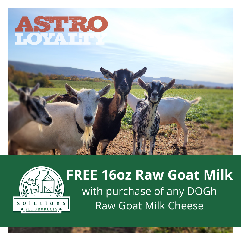 Promotion Image