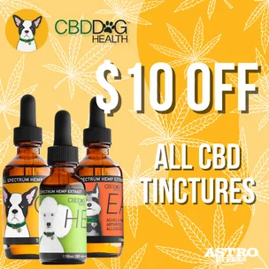 CBD Dog Health | $1…