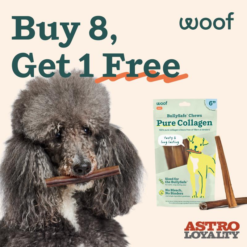 Promotion Image