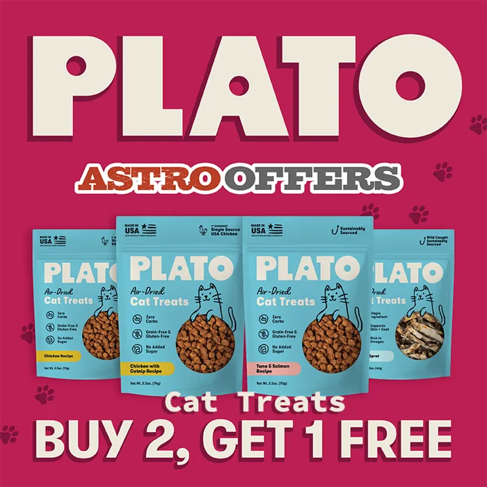 Promotion Image