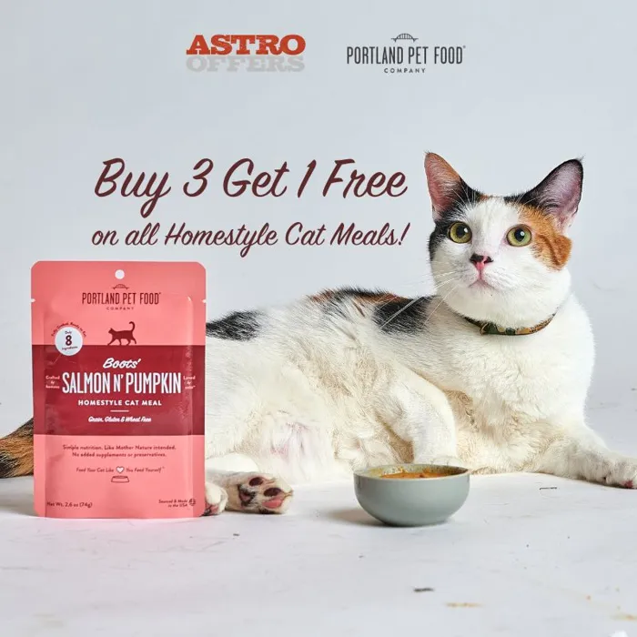 Promotion Image