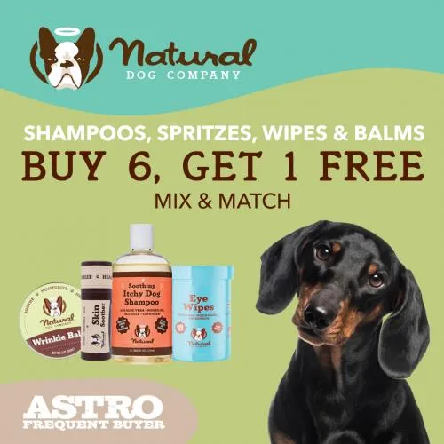 Promotion Image