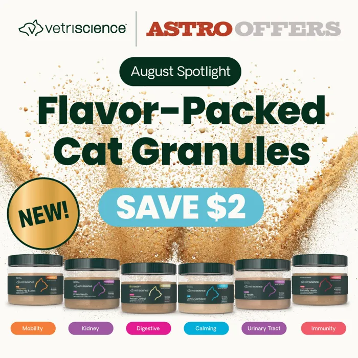 Promotion Image