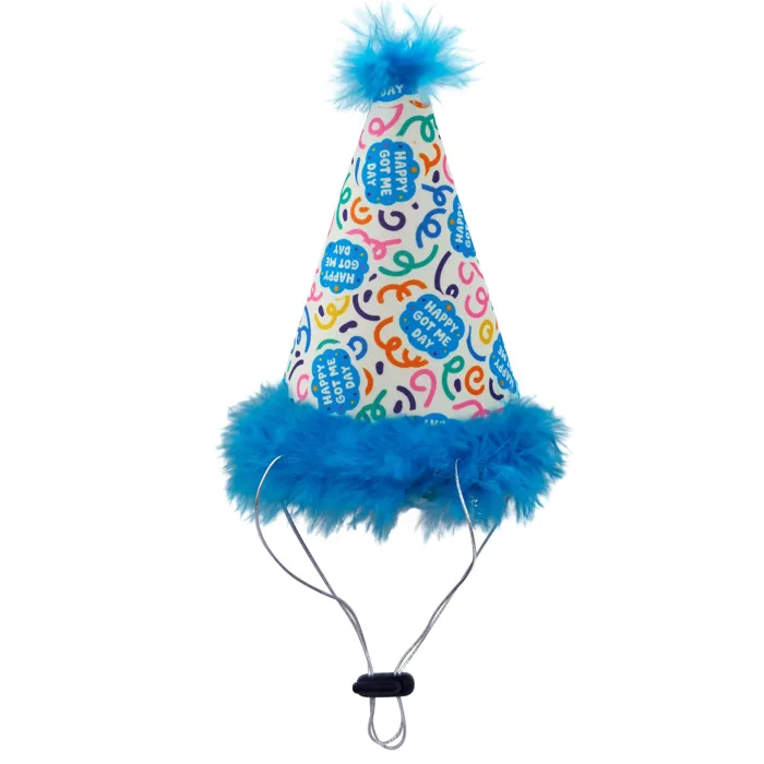 Huxley & Kent Party Hat Happy Got Me Day Lg