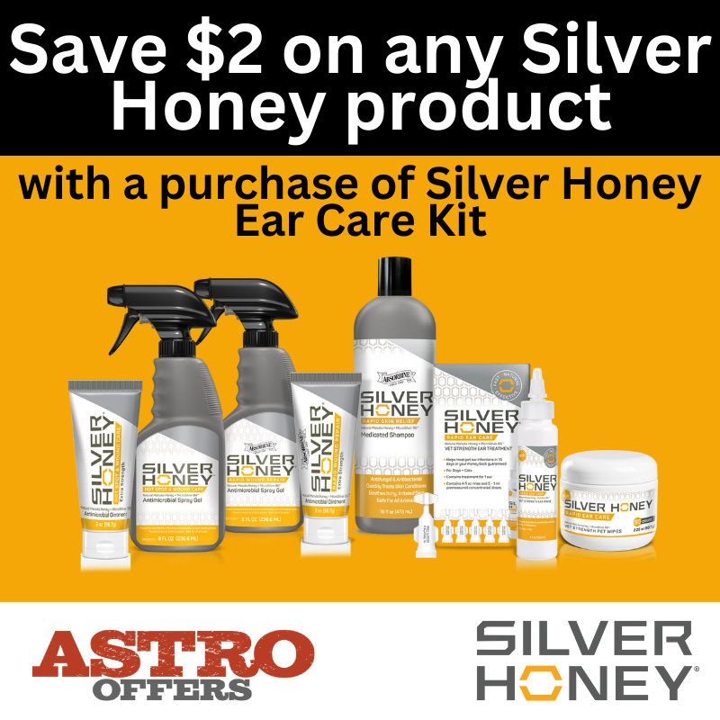 Promotion Image
