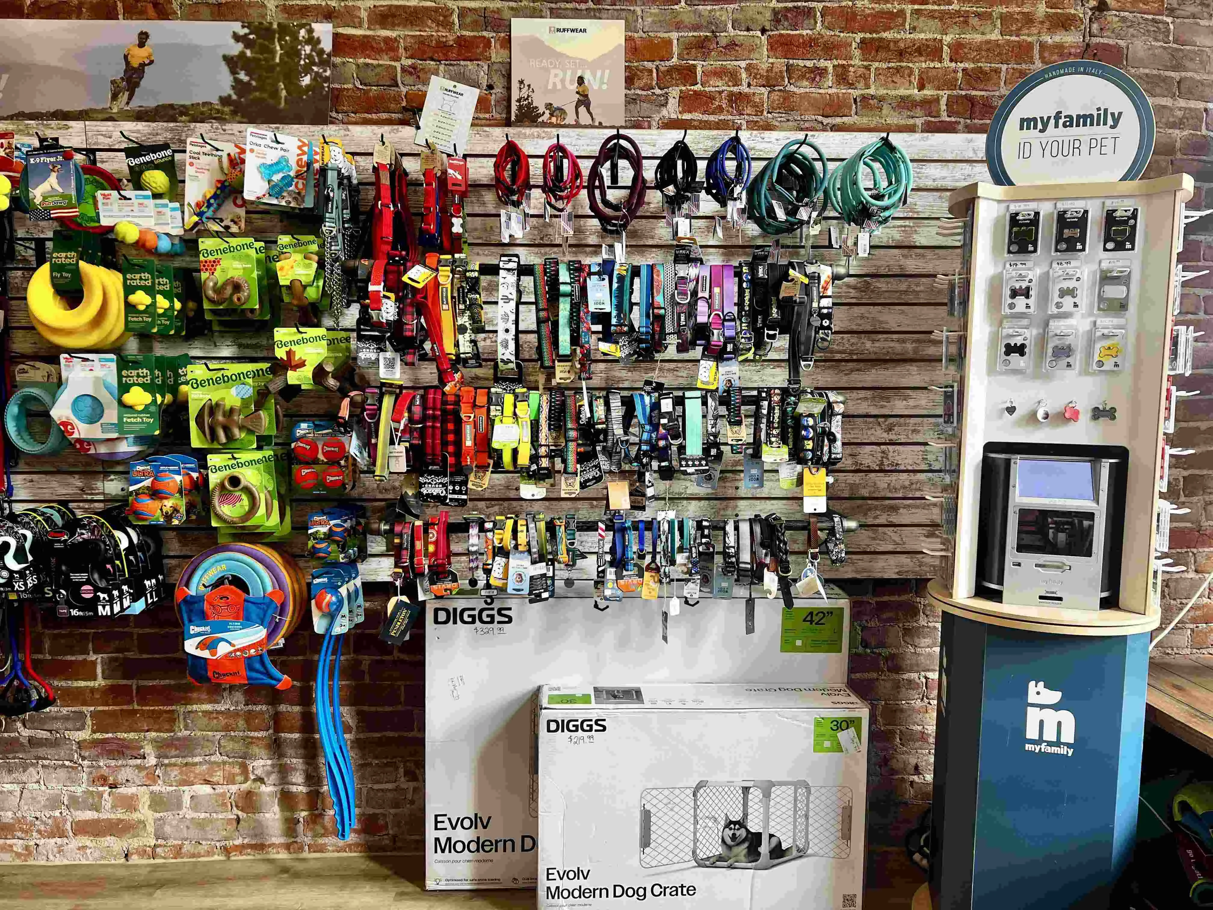 High quality collars and leashes for sale at Pawsitively Native