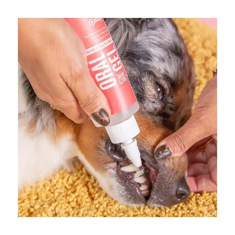 Sh Oral Care Pb & Bacon 4oz