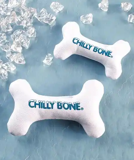 Chilly Bone Dog Toy Small 5.5"