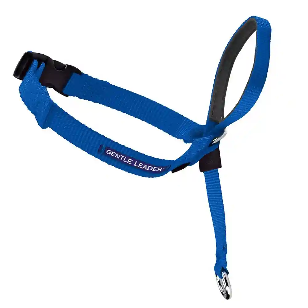 Gentle Leader Headcollar No-pull Md Royal Blue