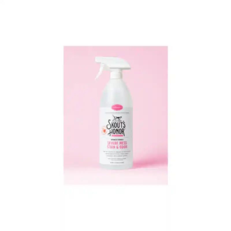 Advanced Stain/odor Removr-cat