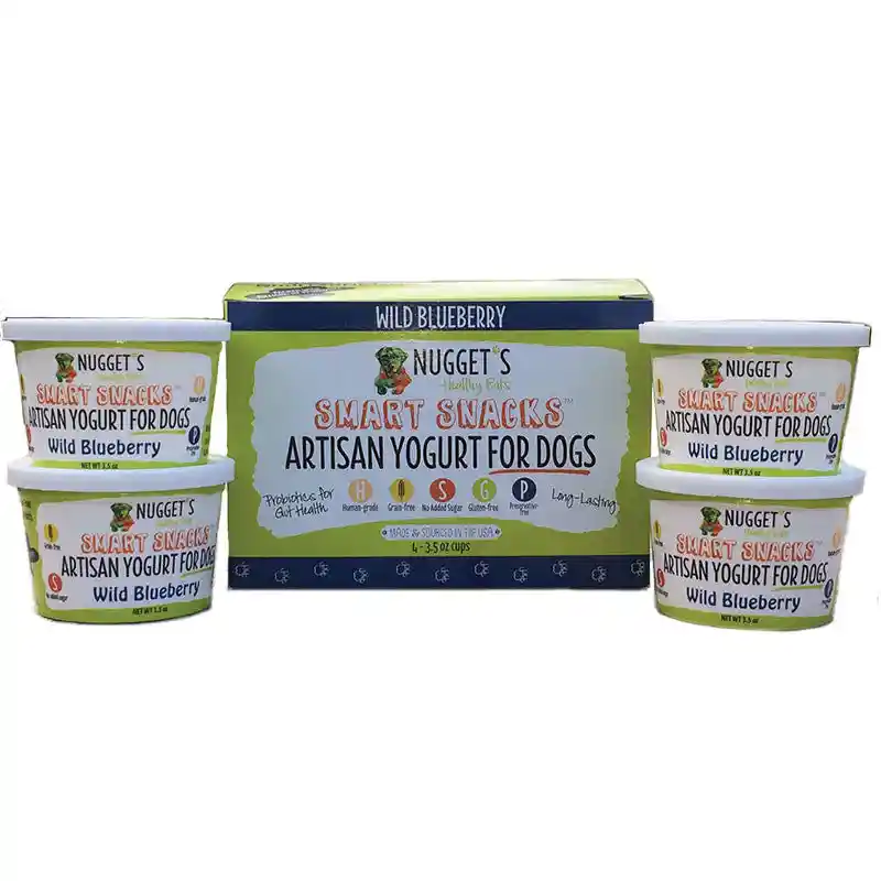 Nugget's Healthy Eats Dog Frzn Yogurt Blubry 4 Pk