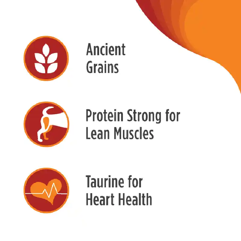 Frontrunner Ancient Grains Trky Trout & Spelt 3-lb