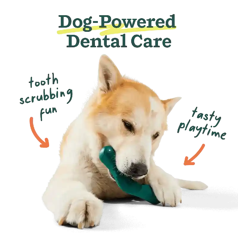 Woof Dog Toy Bite N Brush Large