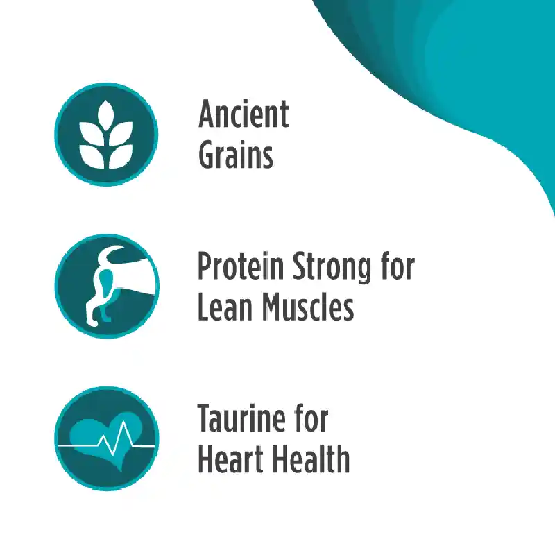 Frontrun Ancnt Grn Sm Brd Trky Whtfsh Quinoa 11-lb