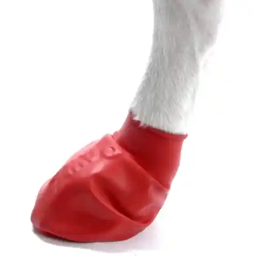 Waterproof Dog Boots, Red, 12 Count Small