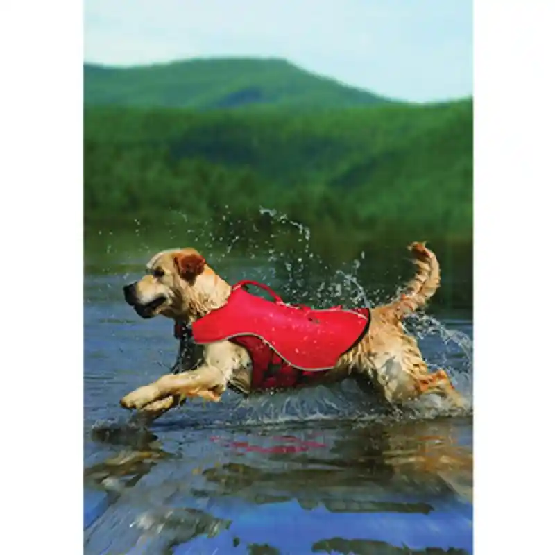 Kurgo D Life Jacket Xl