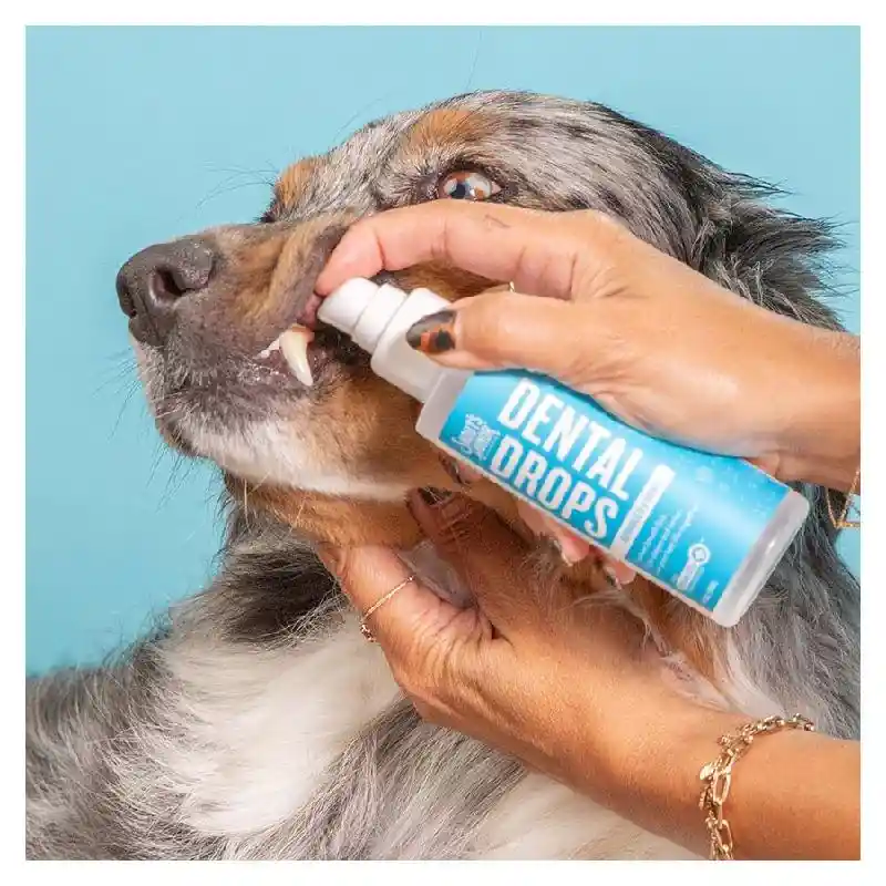 Sh Advanced Dental Drops 4oz