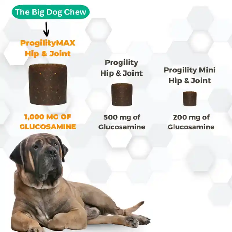 Progility Dog Max Egg Shell Membrane Large Chew 60
