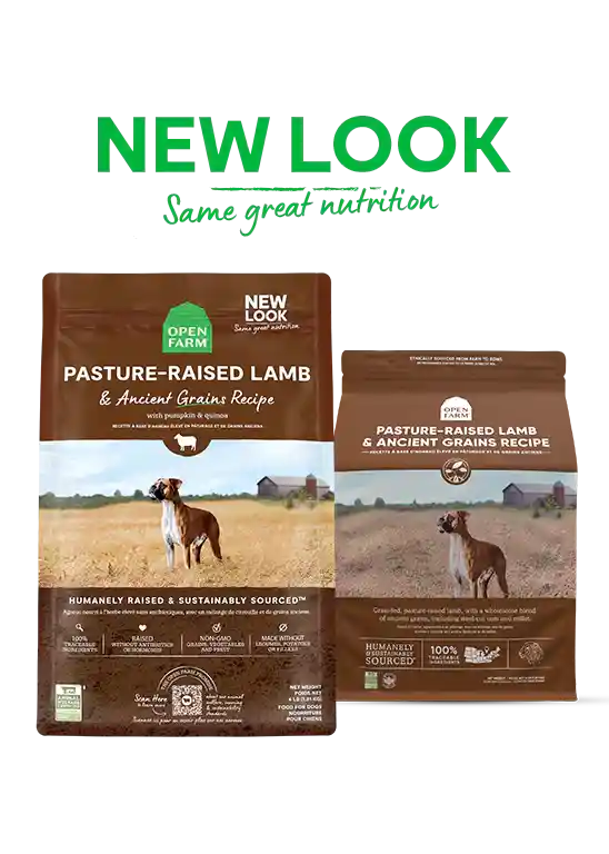 Open Farm D Dry Lamb Ancient Grain 22-lb