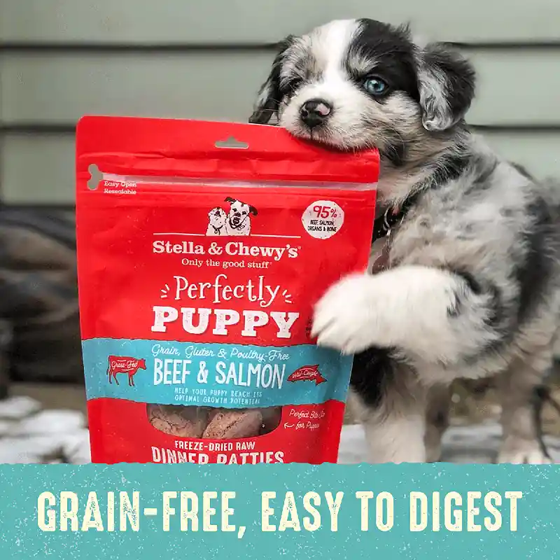 Freeze Dried Dinner Puppy Beefsalmon - 14oz
