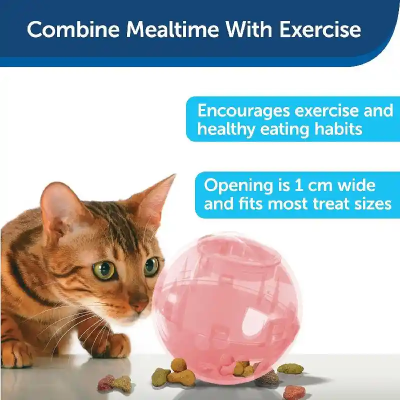 Slimcat Feeder Ball Blue One Size