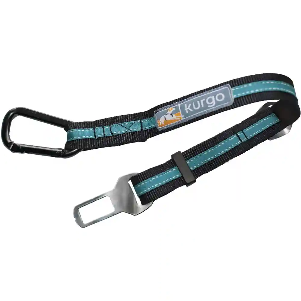 Seatbelt Direct Tether Blue