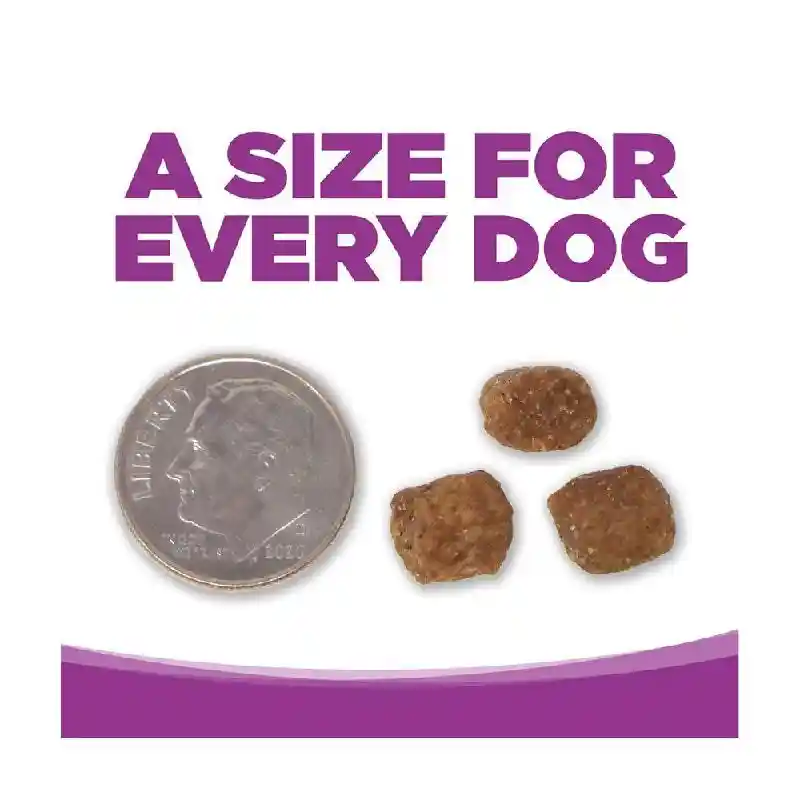 Nutrisource Lb Puppy Chic&rice 4#