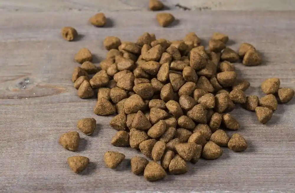 Freestyle Gf Puppy Trky & Swt Pot Dog Food 11-lb