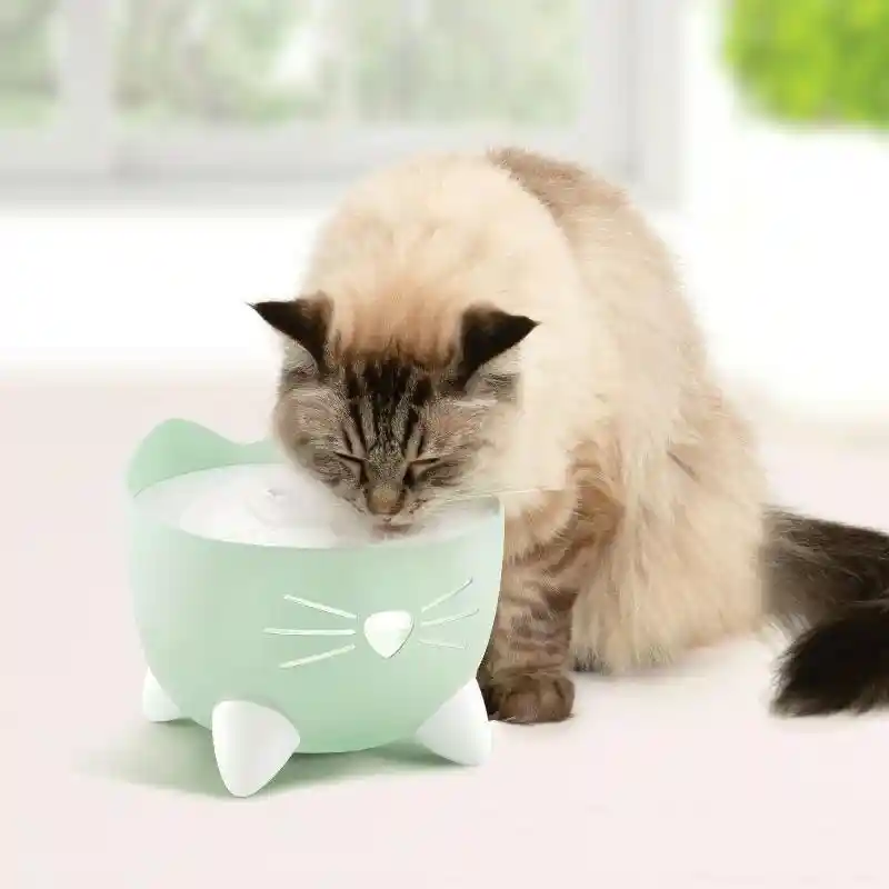 Catit Pixi Fountain, Mint Green
