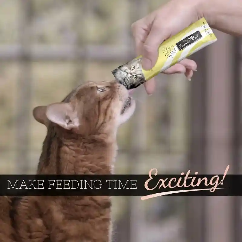 Fussie Cat Premium Gf Tuna & Shrimp Puree 2 Oz