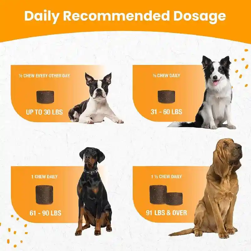 Progility Dog Max Egg Shell Membrane Large Chew 60