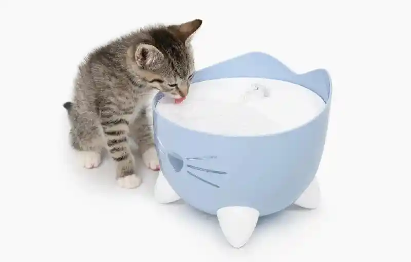 Catit Pixi Fountain Blue