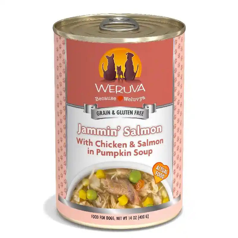 Jammin Salmon Canned Dog Food 14-oz