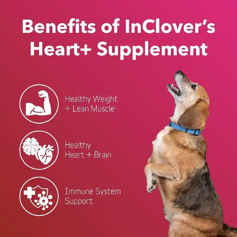 Inclover D/c Biovibrant Taurine Powder 100g