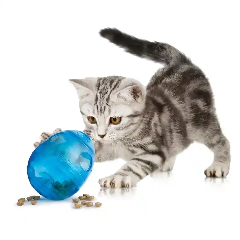 Funkitty Egg-cersizer Feeder