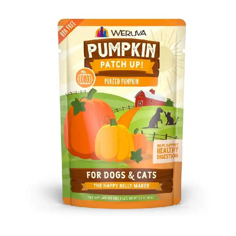 Pumpkin Patch Up Supplement For Dogs & Cats 2.8-oz