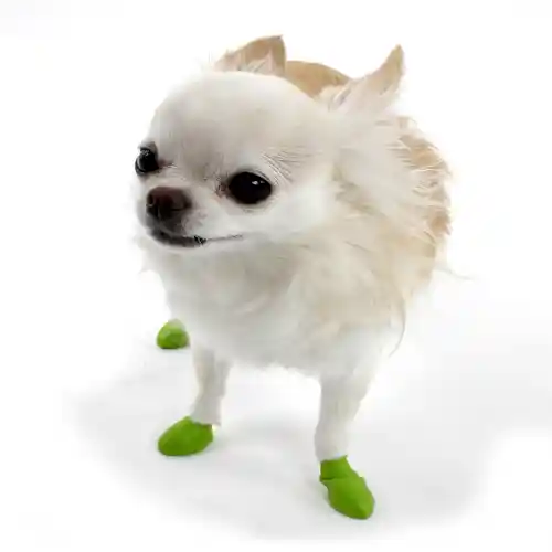 Pawz Waterproof Dog Boots Light Green, 12 Ct Tiny
