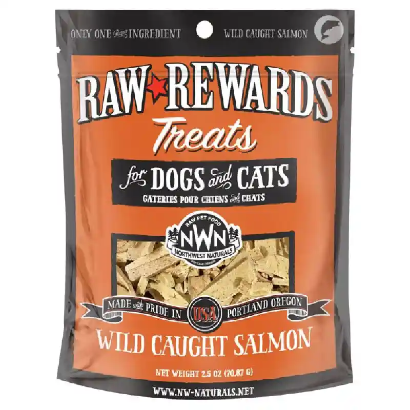 Treat Freeze Dried Salmon - 2.5oz