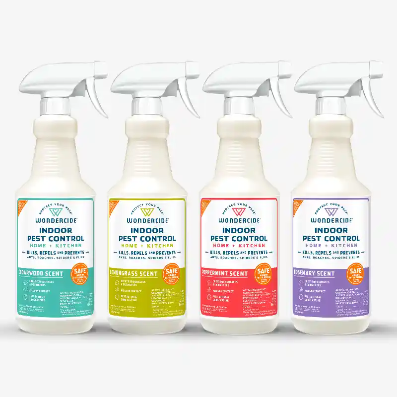 Wondercide Flea/tick Spray Rosemary 16oz