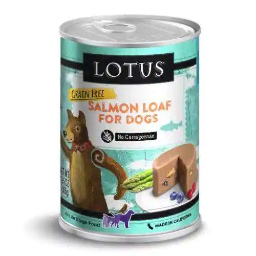 Lotus Can Gf Loaf Salm 12/12.5z