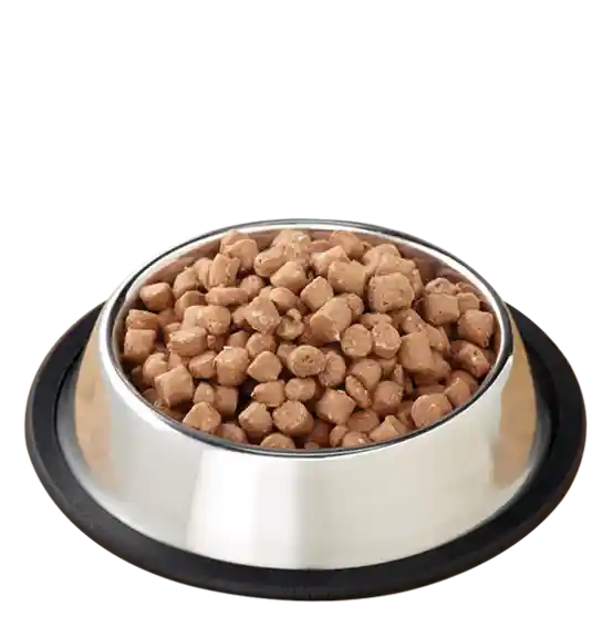 Pronto Raw Chicken & Salmon Frozen Cat Food 1-lb