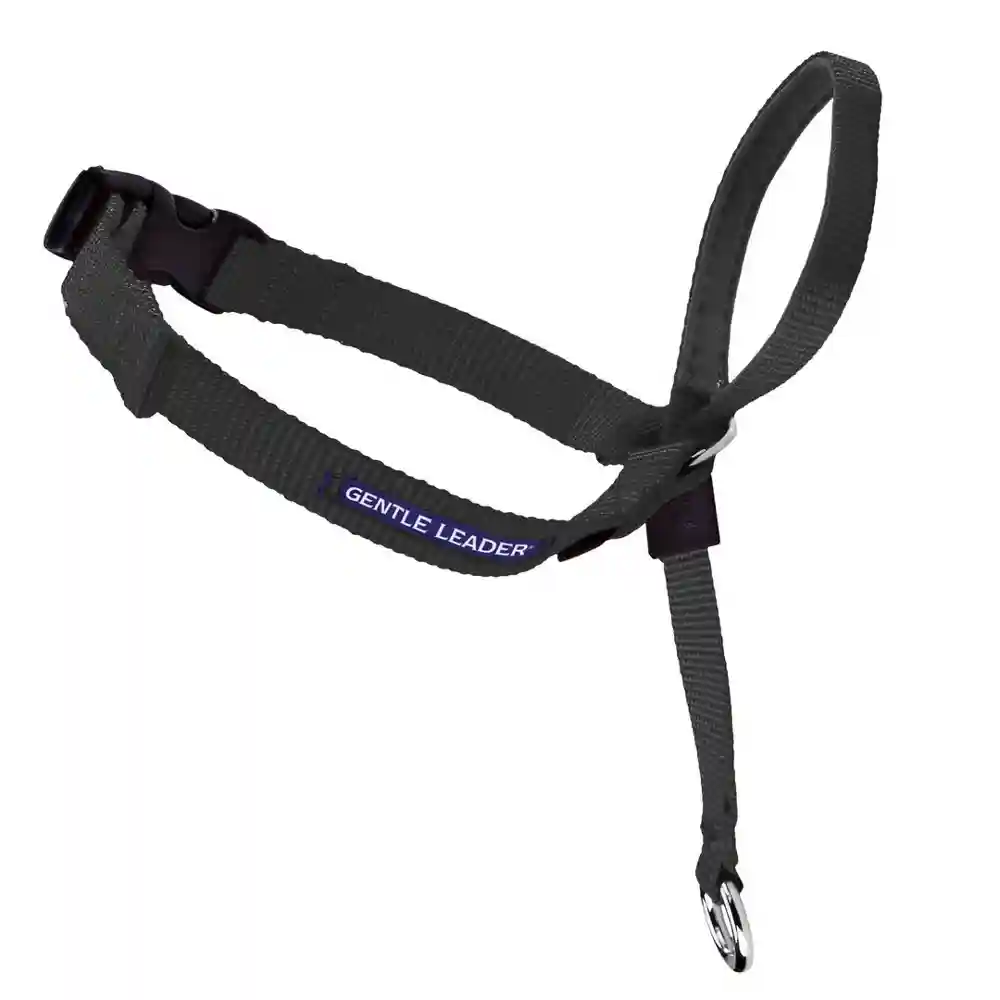 Gentle Leader Headcollar, No-pull Collar Lg Blk