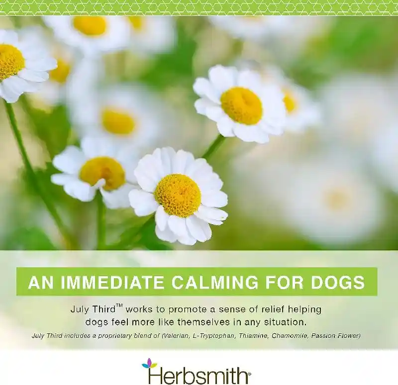 Herbsmith July Third - Large Calming Chews 30ct