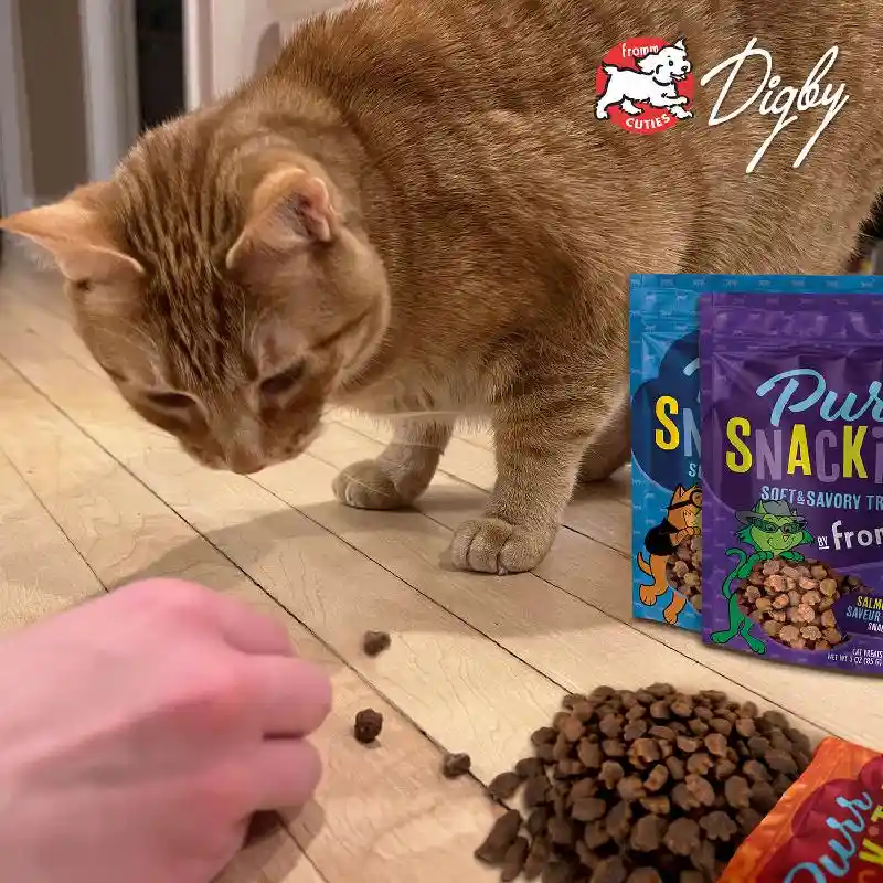 Fromm Purr Snackitty Salmon Treat 3-oz