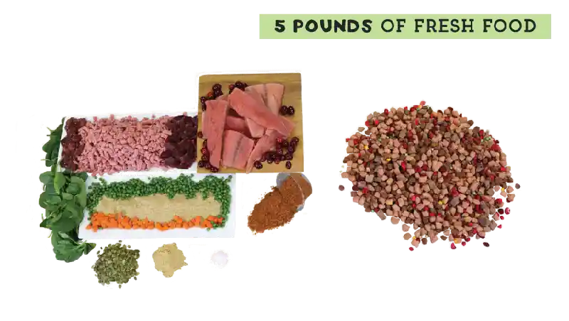 1.5lb Simple Food (beef & Salmon)