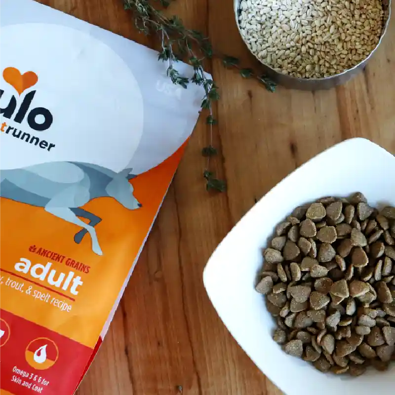 Frontrunner Ancient Grains Trky Trout & Spelt 3-lb