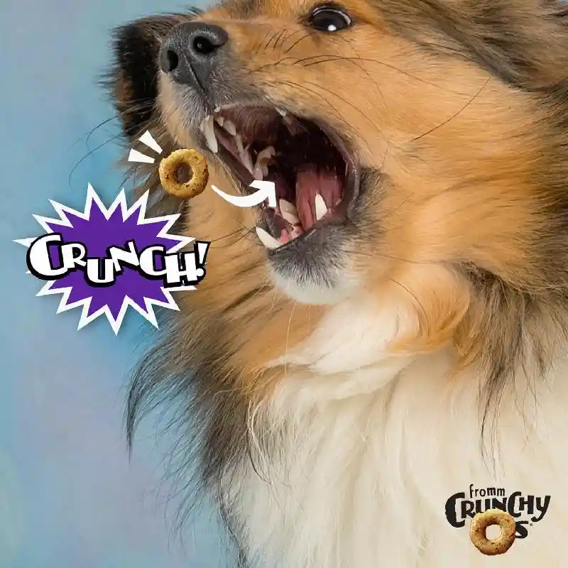 Fromm Treats Crunchy Os Gf Blueberry Blasts 26oz